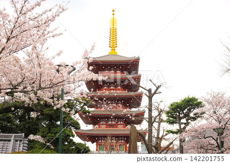 Five-storied pagoda of Senso-ji Temple Five-storied pagoda of Senso-ji Temple 142201755
