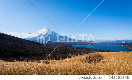 Snow Capped Mount Fuji Above Lake and Golden Grassland Under Blue Sky Snow Capped Mount Fuji Above Lake and Golden Grassland Under Blue Sky 142201898