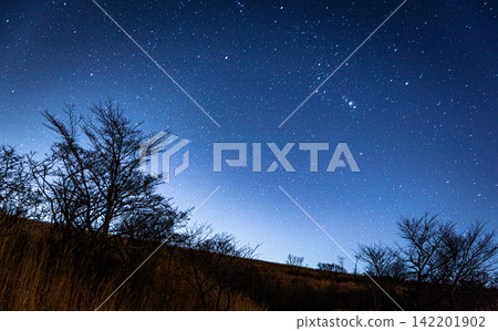 Star Filled Night Sky Above Silhouetted Trees and Hills in Japan Star Filled Night Sky Above Silhouetted Trees and Hills in Japan 142201902