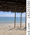 Scenery of a southern island: Beach, Indonesia 142201980