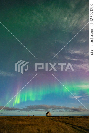Aurora borealis in layers of purple and green (Iceland) Aurora borealis in layers of purple and green (Iceland) 142202098