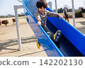 child playing on playground equipment in the park 142202130