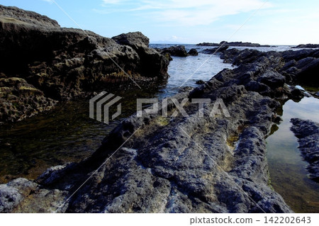 三浦半島城島崎嶇的岩壁和錯綜複雜的潮汐池。 三浦半島城島崎嶇的岩壁和錯綜複雜的潮汐池。 142202643