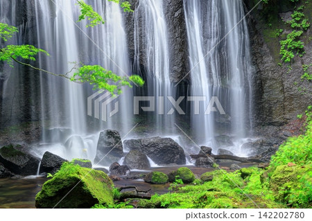 Tatsuzawa Fudo Falls in Midsummer Tatsuzawa Fudo Falls in Midsummer 142202780