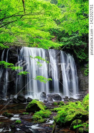 Tatsuzawa Fudo Falls in Midsummer Tatsuzawa Fudo Falls in Midsummer 142202781