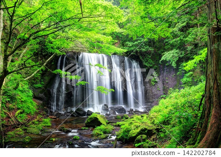 Tatsuzawa Fudo Falls in Midsummer Tatsuzawa Fudo Falls in Midsummer 142202784