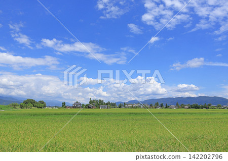 安曇野鄉村與夏日天空 安曇野鄉村與夏日天空 142202796