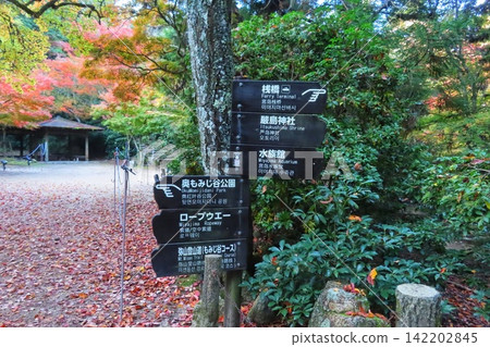 [Hiroshima Prefecture] Momijidani Park in Miyajima, one of the three most scenic spots in Japan, Aki 142202845