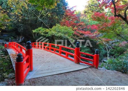[Hiroshima Prefecture] Momijidani Park in Miyajima, one of the three most scenic spots in Japan, Aki 142202846