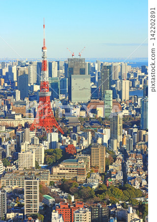 Tokyo Tower and Tokyo cityscape, Minato Ward, Tokyo Tokyo Tower and Tokyo cityscape, Minato Ward, Tokyo 142202891