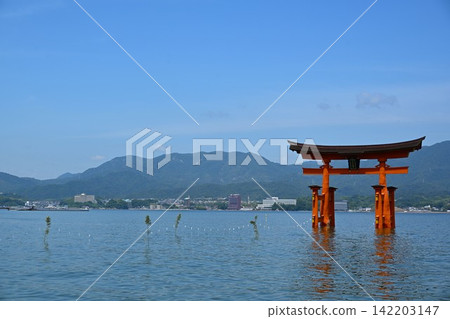 廣島夏日清晨的嚴島神社大鳥居。 廣島夏日清晨的嚴島神社大鳥居。 142203147