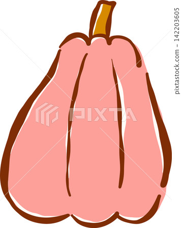 Pink Pumpkin Hand Drawn Illustration 142203605