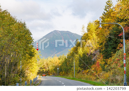 從白樺路眺望美瑛富士山（北海道秋景） 142203799