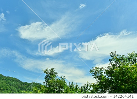 綠樹成蔭,夏日藍天清澈明亮 綠樹成蔭,夏日藍天清澈明亮 142204141