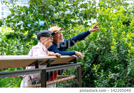 Two senior LGBTQ men lean on wooden railing, one points upward through lush green canopy Two senior LGBTQ men lean on wooden railing, one points upward through lush green canopy 142205049