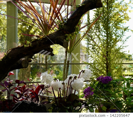 View from inside the greenhouse at Satsukiyama Green Space Urban Greening Botanical Garden, Ikeda City, Osaka Prefecture View from inside the greenhouse at Satsukiyama Green Space Urban Greening Botanical Garden, Ikeda City, Osaka Prefecture 142205647