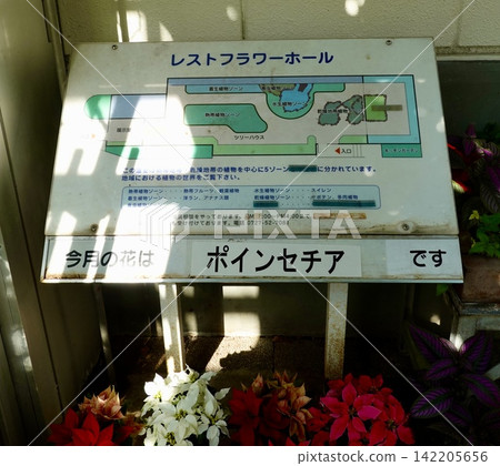 這是大阪府池田市五月山綠地都會綠化植物園溫室內的資訊板。 這是大阪府池田市五月山綠地都會綠化植物園溫室內的資訊板。 142205656