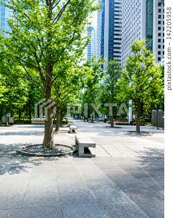 城市公共開放空間/背景素材,現代摩天大樓與美麗的街道樹木和諧共存。 城市公共開放空間/背景素材,現代摩天大樓與美麗的街道樹木和諧共存。 142205958