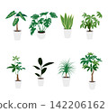 Illustration set of foliage plants Illustration set of foliage plants 142206162