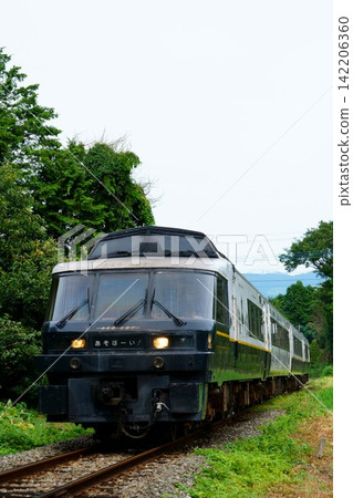 阿蘇男孩特快列車穿過鬱鬱蔥蔥的綠地！ 142206360