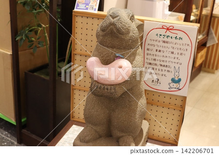 能量石和兔子 能量石和兔子 142206701