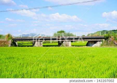 竹下橋,是廢棄的荒尾市有軌電車路線的一部分。 竹下橋,是廢棄的荒尾市有軌電車路線的一部分。 142207002