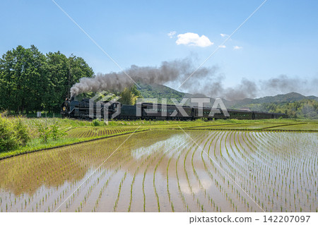 稻田和SL山口號蒸氣機車。 稻田和SL山口號蒸氣機車。 142207097