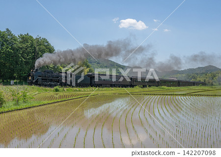 稻田和SL山口號蒸氣機車。 142207098
