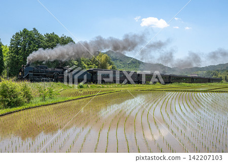稻田和SL山口號蒸氣機車。 稻田和SL山口號蒸氣機車。 142207103