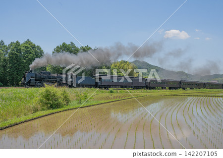 稻田和SL山口號蒸氣機車。 稻田和SL山口號蒸氣機車。 142207105