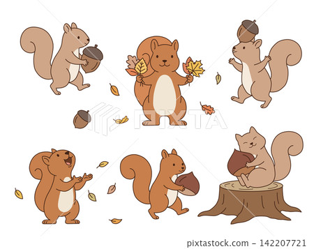 A set of illustrations of squirrels enjoying autumn: 6 cute poses with nuts and fallen leaves. A set of illustrations of squirrels enjoying autumn: 6 cute poses with nuts and fallen leaves. 142207721
