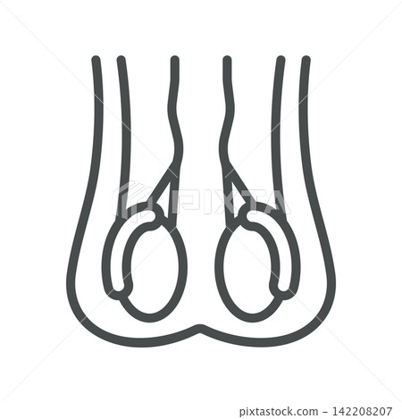 Testes icon. Male testicles in reproductive anatomy. Simple thin line outline vector illustration. Testes icon. Male testicles in reproductive anatomy. Simple thin line outline vector illustration. 142208207