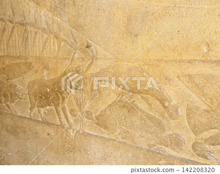 Mastaba of Kagemni, one of the noble tombs at Saqqara. Mastaba of Kagemni, one of the noble tombs at Saqqara. 142208320
