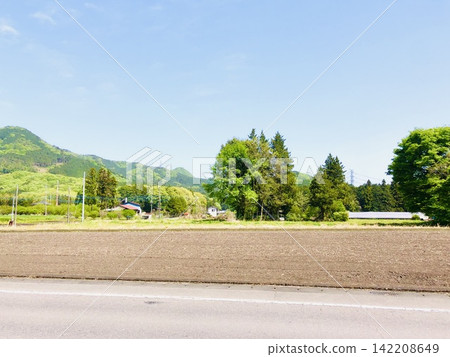 A certain season has repainted the colors of everyday life. 142208649