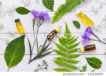 Aromatherapy herbal oil bottles aroma with flower leaves herbal formulations including wildflowers and herbs on wood top view - Essential oils natural on wooden and green leaf organic flat lay Aromatherapy herbal oil bottles aroma with flower leaves herbal formulations including wildflowers and herbs on wood top view - Essential oils natural on wooden and green leaf organic flat lay 142208805
