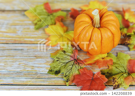 Autumn table setting with pumpkins holiday - Thanksgiving background frame autumn leaf decoration festive on wooden 142208839