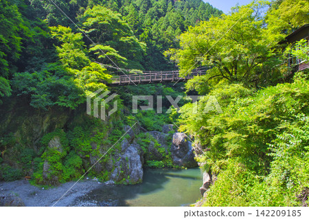 [Tokyo] Hatonosu Valley in summer 142209185
