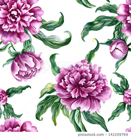 Seamless pattern with pink peonies. A hand drawn watercolor illustration. Ideal for textiles, tablecloths and curtains, wallpaper, covers, wrapping paper, prints, and much more. Seamless pattern with pink peonies. A hand drawn watercolor illustration. Ideal for textiles, tablecloths and curtains, wallpaper, covers, wrapping paper, prints, and much more. 142209769