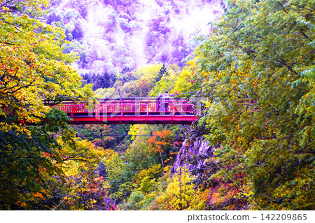 A spectacular view in late autumn: Futami Suspension Bridge in Jozankei Onsen A spectacular view in late autumn: Futami Suspension Bridge in Jozankei Onsen 142209865