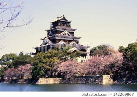 廣島城櫻花季 廣島城櫻花季 142209907
