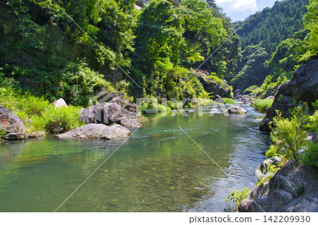 [Tokyo] Hatonosu Valley in summer 142209930