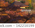 Kiyomizudera秋葉 142210199