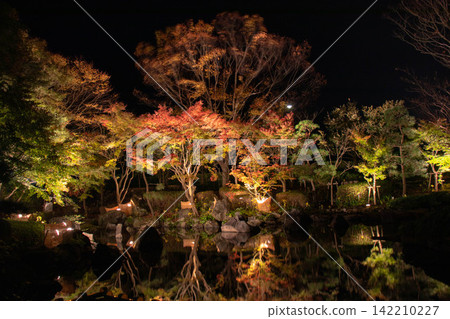 Autumn leaves reflected on the water Autumn leaves reflected on the water 142210227