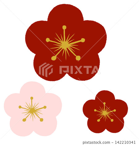 簡單的梅花圖 簡單的梅花圖 142210341