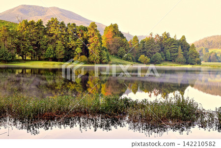 Scenic Mountain Lake with Forest Reflection in Warm Morning Light Scenic Mountain Lake with Forest Reflection in Warm Morning Light 142210582