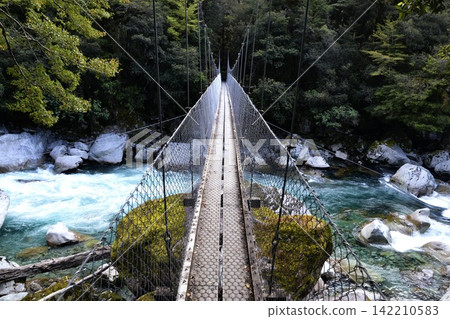 Suspension Bridge Over Turquoise River in Dense Forest 142210583