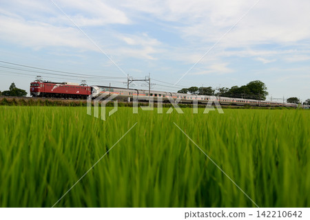 東北本線運行的臥舖特快仙后座號 東北本線運行的臥舖特快仙后座號 142210642