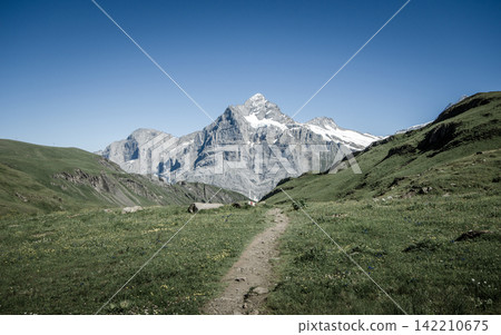 Alpine Mountain Trail Through Green Meadow Under Clear Blue Sky Alpine Mountain Trail Through Green Meadow Under Clear Blue Sky 142210675