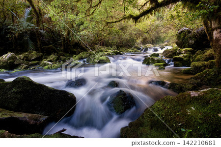 Forest Stream with Mossy Rocks and Long Exposure Waterfall Forest Stream with Mossy Rocks and Long Exposure Waterfall 142210681