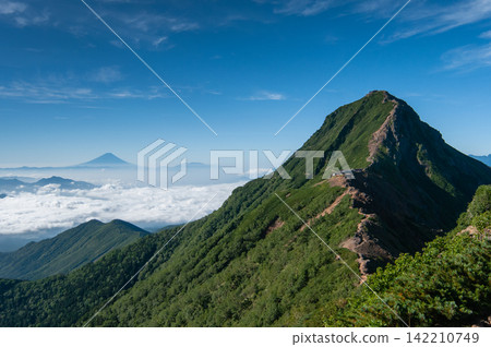 從八嶽山脈的橫岳上眺望赤岳和富士山。 從八嶽山脈的橫岳上眺望赤岳和富士山。 142210749